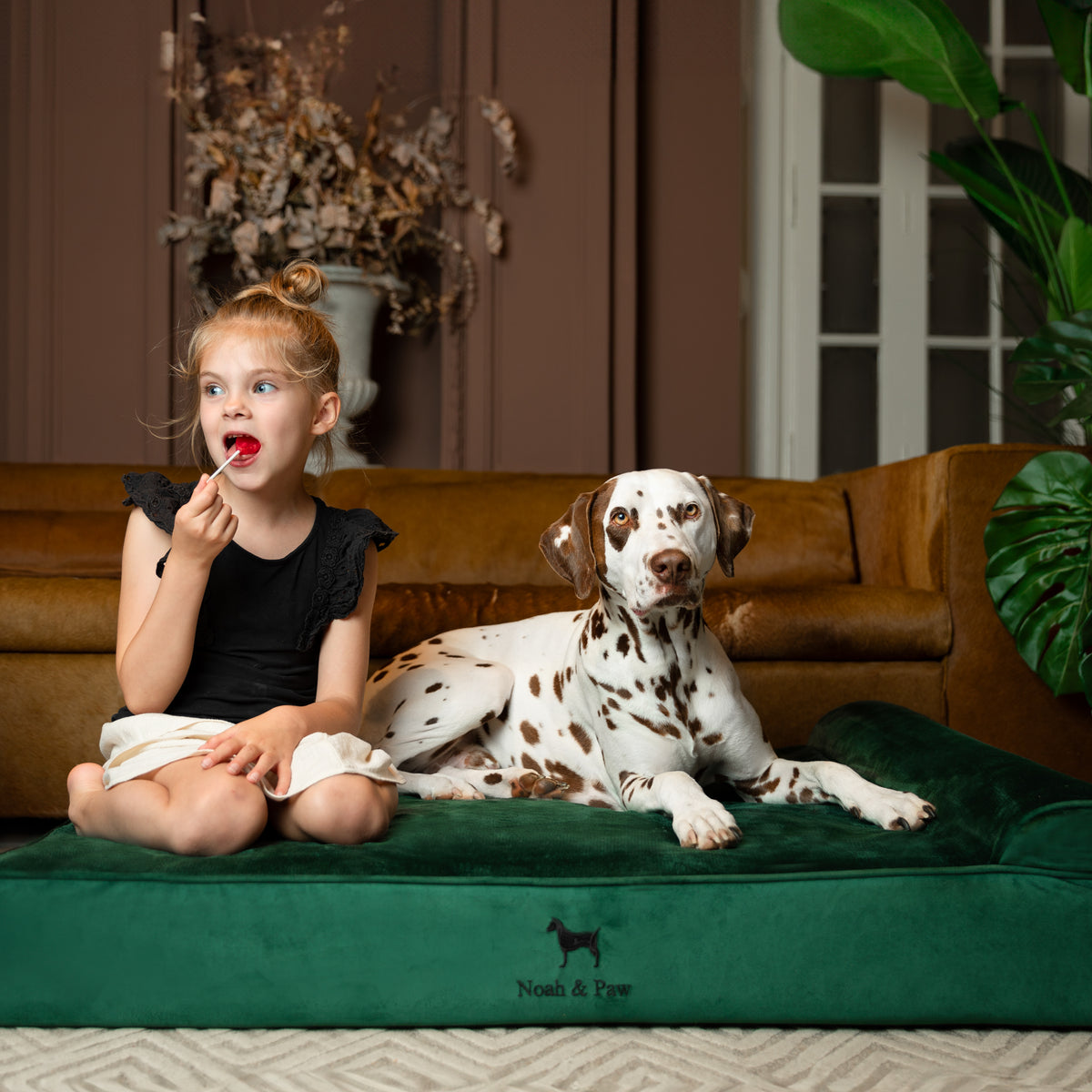 Velvet, Orthopedic Pet Bed, Classic Style - Dark Green - XL