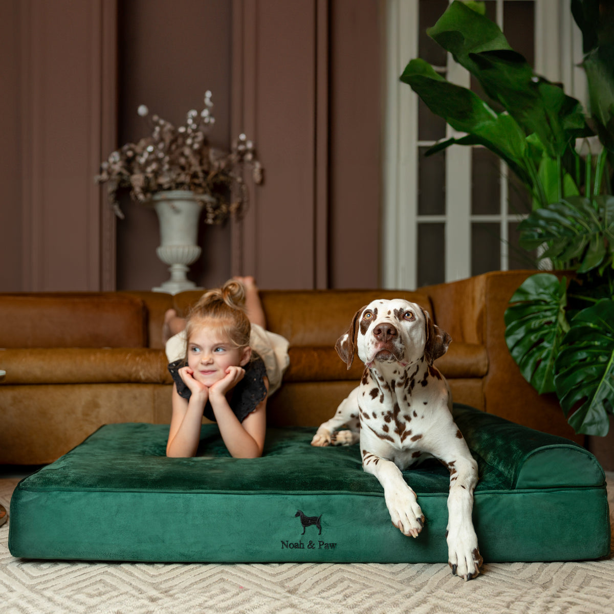 Velvet, Orthopedic Pet Bed, Classic Style - Dark Green - XL