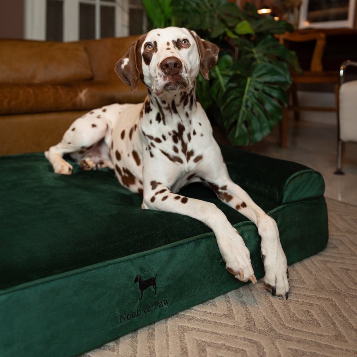 Velvet, Orthopedic Pet Bed, Classic Style - Dark Green - XL