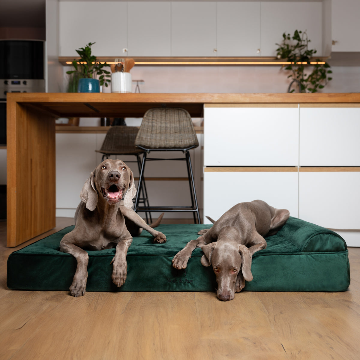 Velvet, Orthopedic Pet Bed, Classic Style - Dark Green - XL