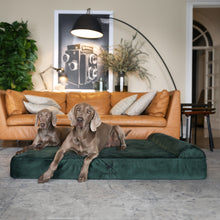 Noah & Paw orthopedic classic dog bed in velvet with memory foam and cooling gel, dark green, size XL (45 x 35 x 9 in)