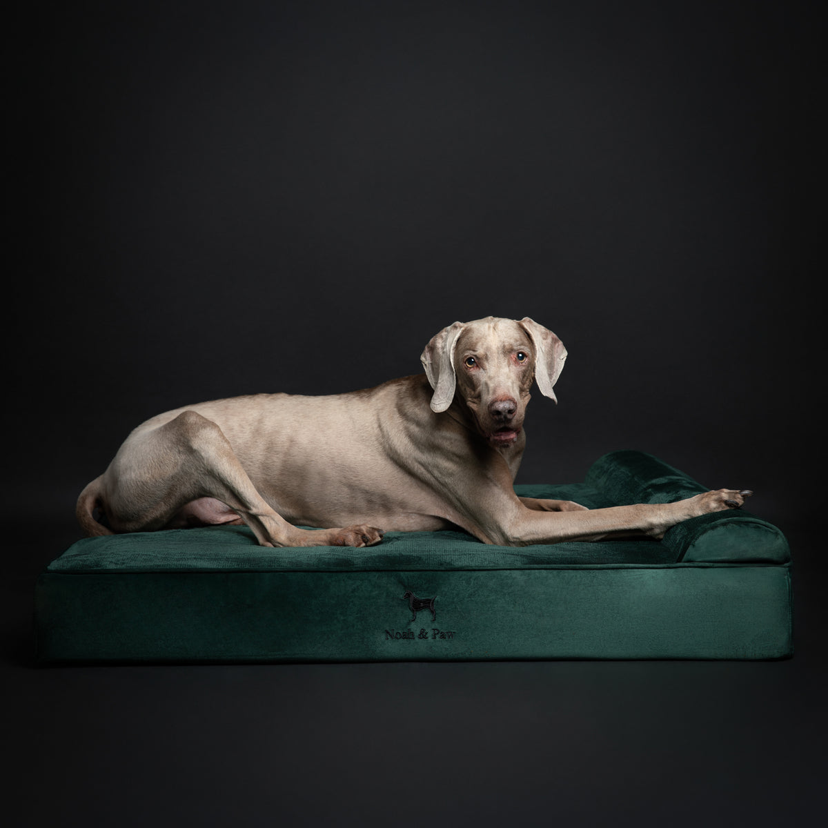 Velvet, Orthopedic Pet Bed, Classic Style - Dark Green - XL