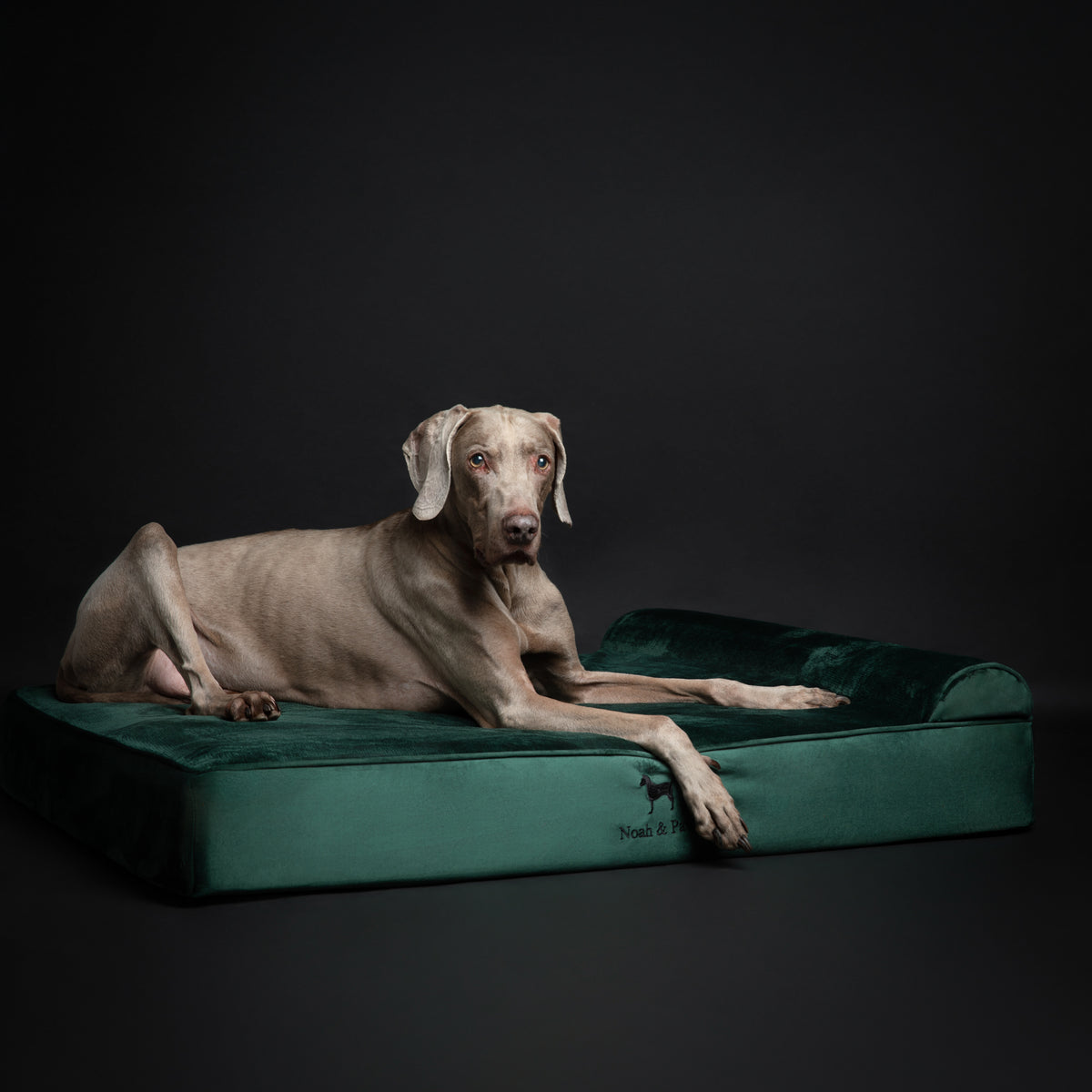 Velvet, Orthopedic Pet Bed, Classic Style - Dark Green - XL