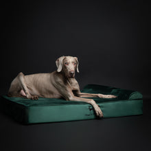Noah & Paw orthopedic classic dog bed in velvet with memory foam and cooling gel, dark green, size XL (45 x 35 x 9 in)