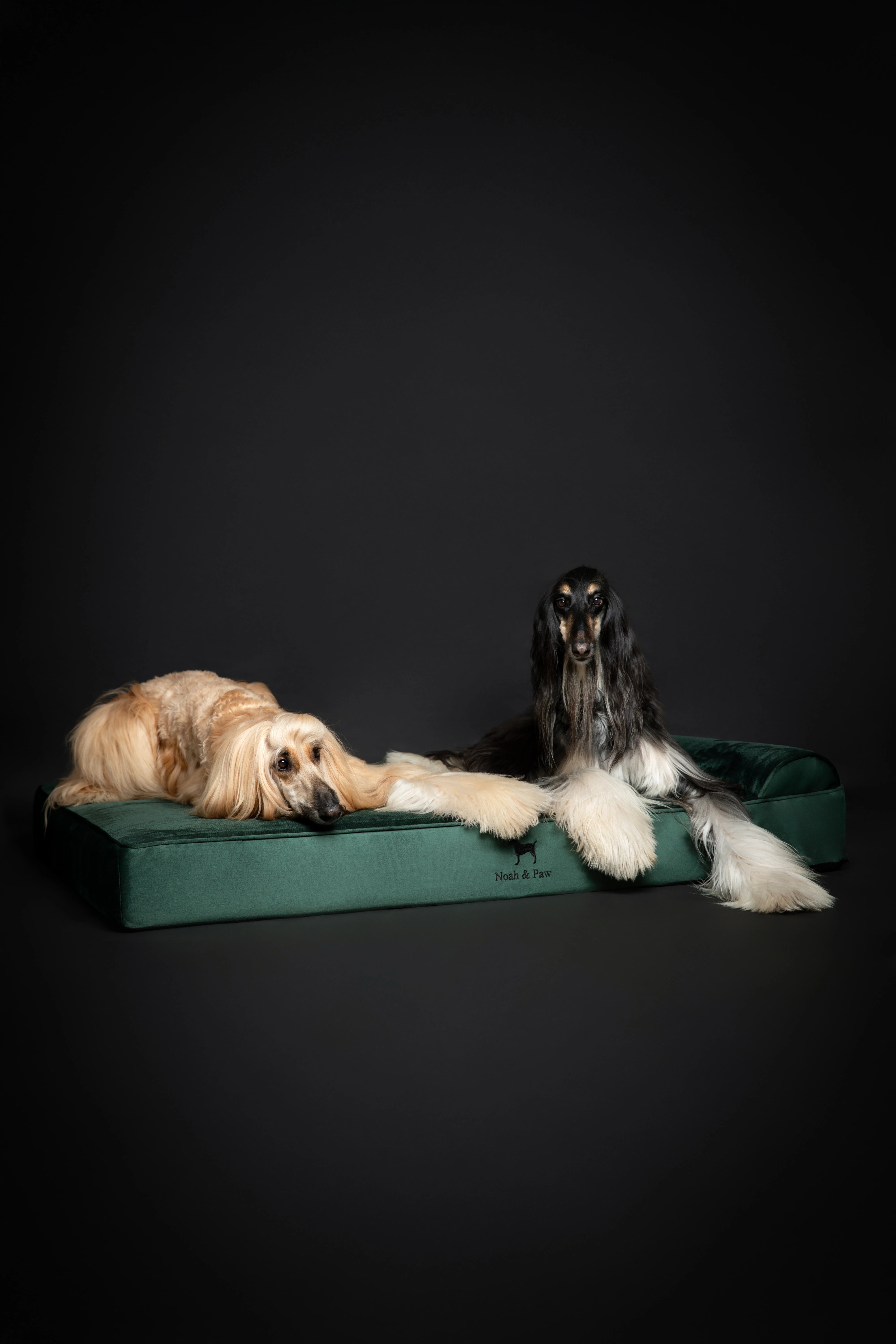 Velvet, Orthopedic Pet Bed, Classic Style - Dark Green - XXL