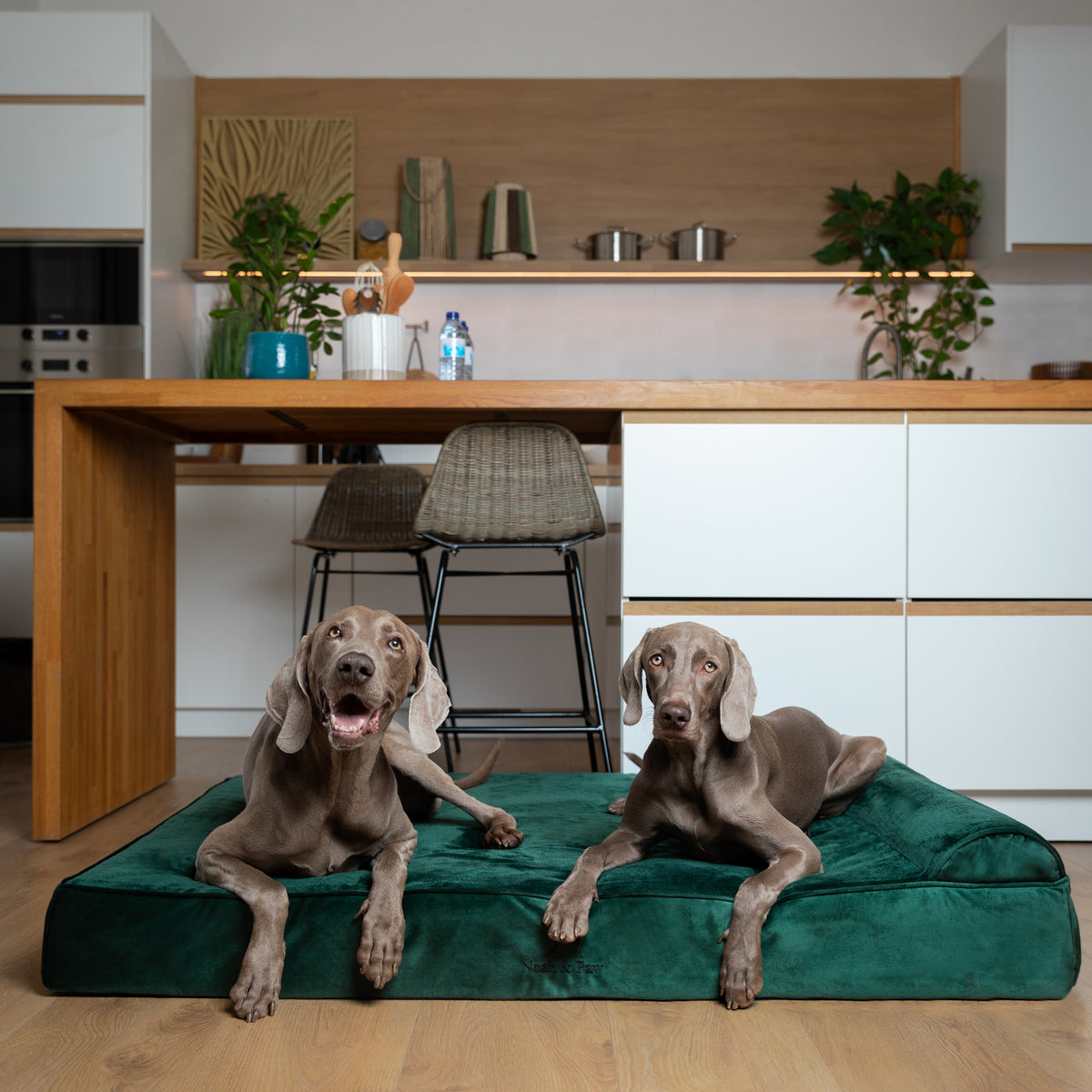 Velvet, Orthopedic Pet Bed, Classic Style - Dark Green - XXL