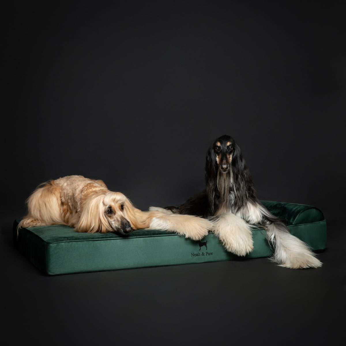 Velvet, Orthopedic Pet Bed, Classic Style - Dark Green - XXL