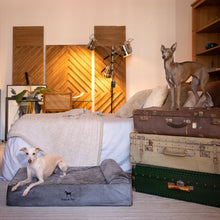 Noah & Paw orthopedic classic dog bed in velvet with memory foam and cooling gel, gray, size L (35 x 25 x 8.5 in)