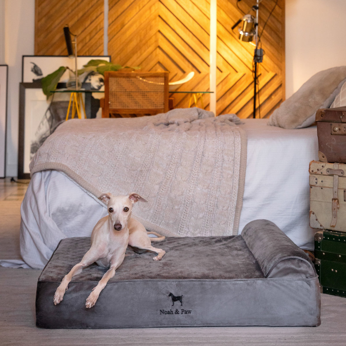 Noah & Paw orthopedic classic dog bed in velvet with memory foam and cooling gel, gray, size L (35 x 25 x 8.5 in)