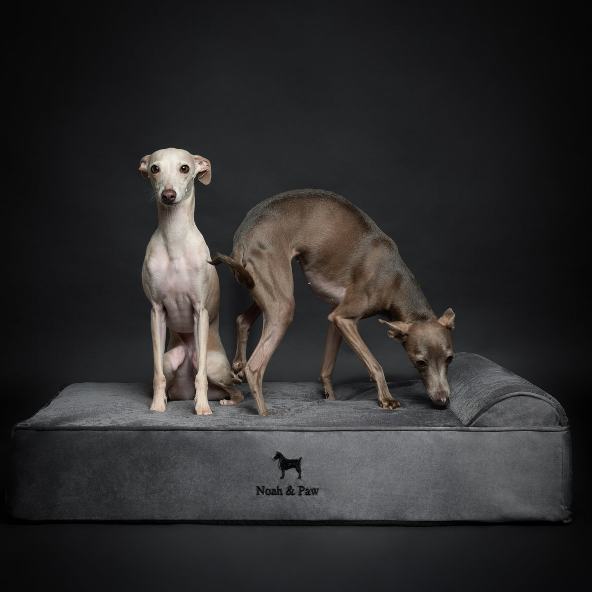 Velvet, Orthopedic Pet Bed, Classic Style - Grey - L