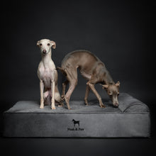 Noah & Paw orthopedic classic dog bed in velvet with memory foam and cooling gel, gray, size L (35 x 25 x 8.5 in)
