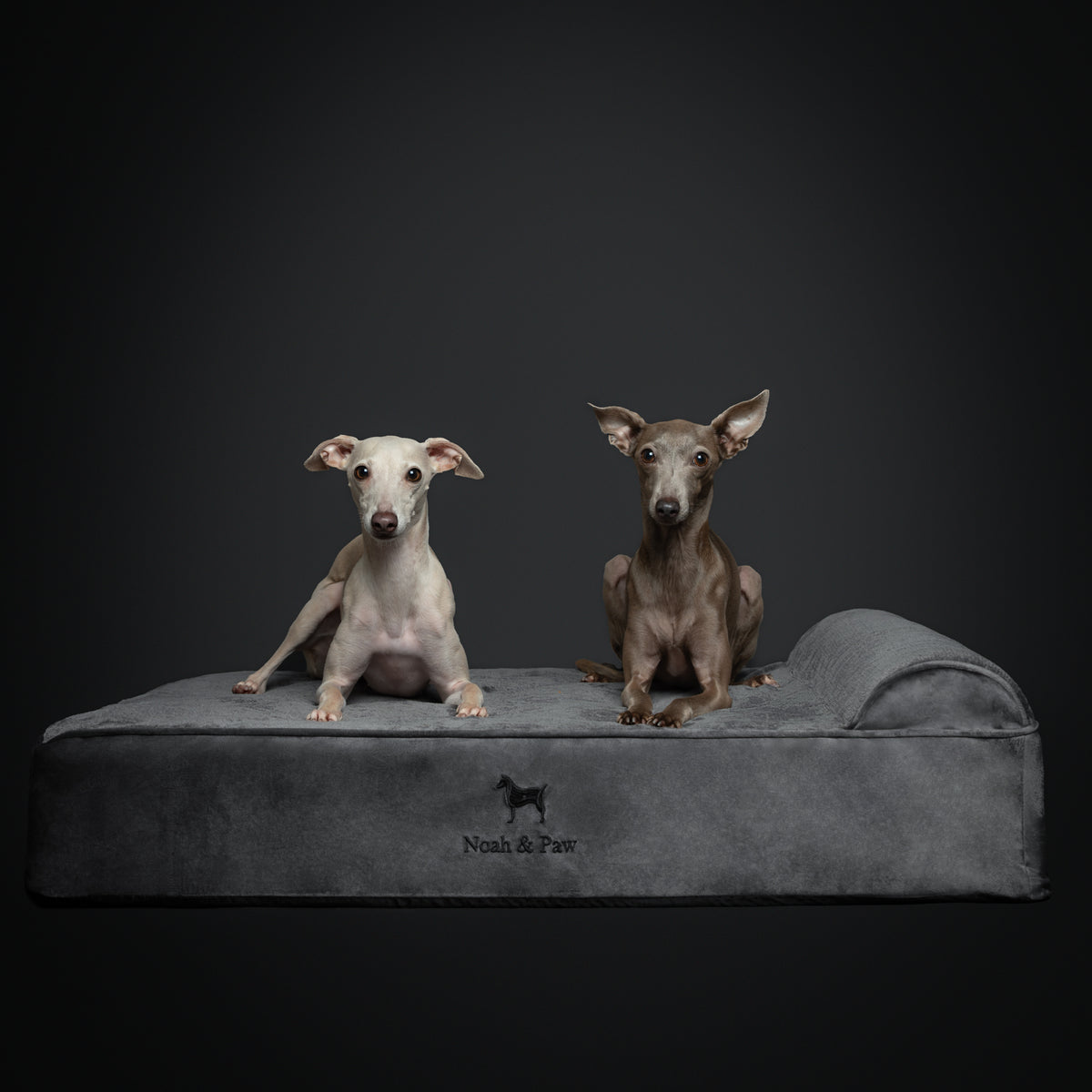 Velvet, Orthopedic Pet Bed, Classic Style - Grey - L