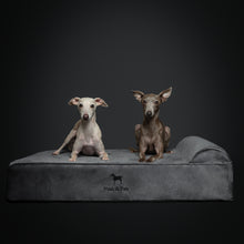 Noah & Paw orthopedic classic dog bed in velvet with memory foam and cooling gel, gray, size L (35 x 25 x 8.5 in)