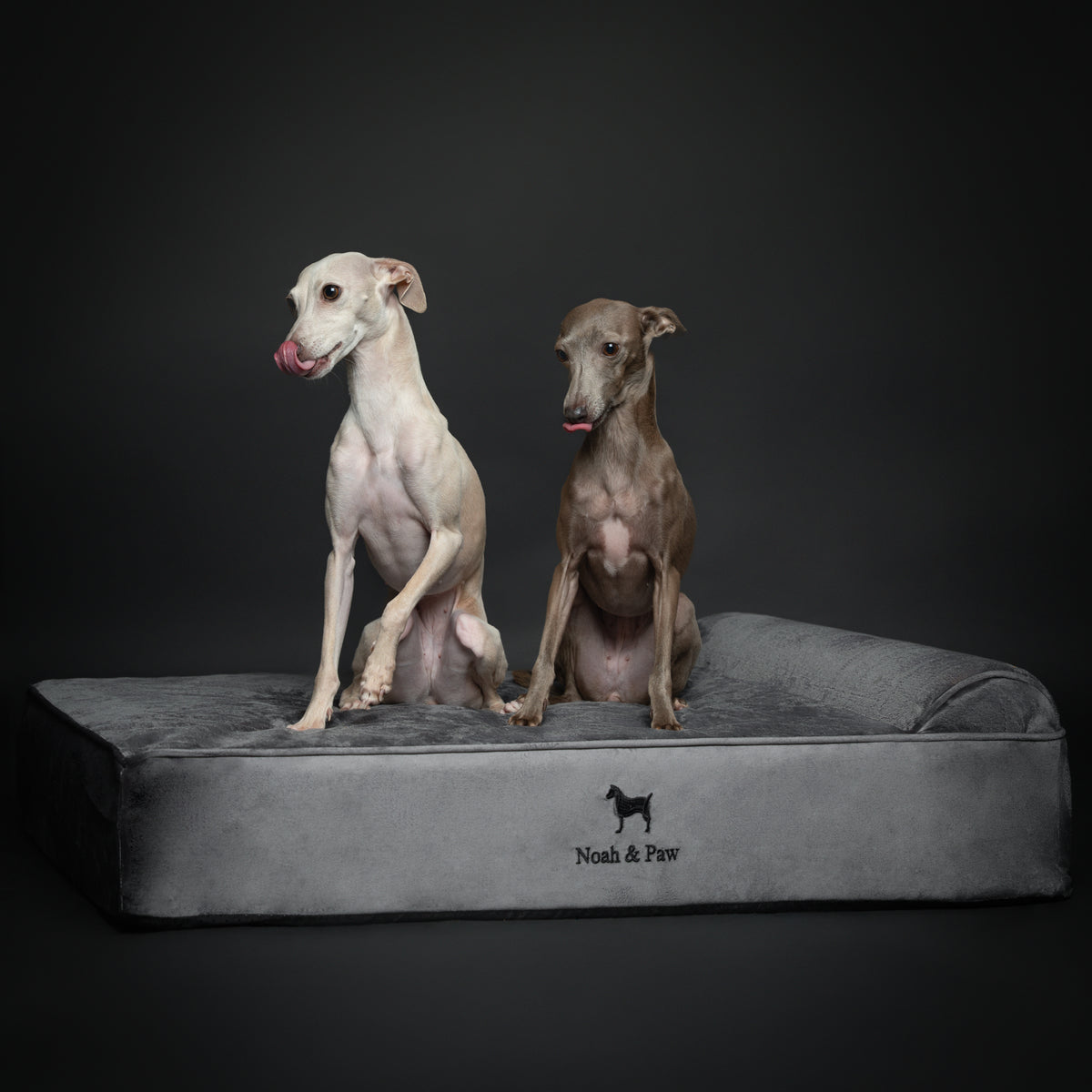 Velvet, Orthopedic Pet Bed, Classic Style - Grey - L