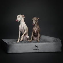 Noah & Paw orthopedic classic dog bed in velvet with memory foam and cooling gel, gray, size L (35 x 25 x 8.5 in)