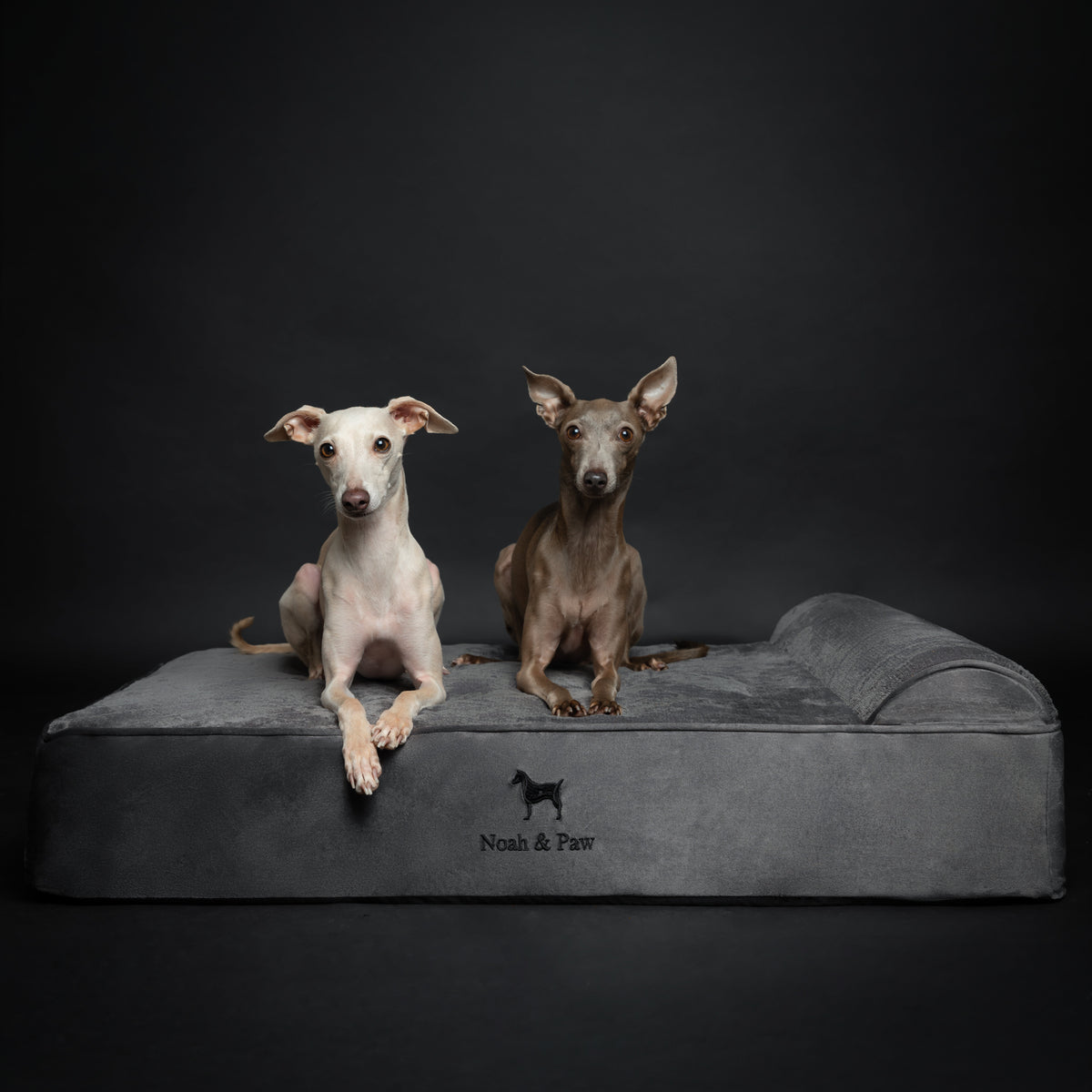 Velvet, Orthopedic Pet Bed, Classic Style - Grey - L