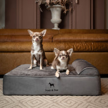 Noah & Paw orthopedic classic dog bed in velvet with memory foam and cooling gel, gray, size M (28 x 23 x 7.5 in)