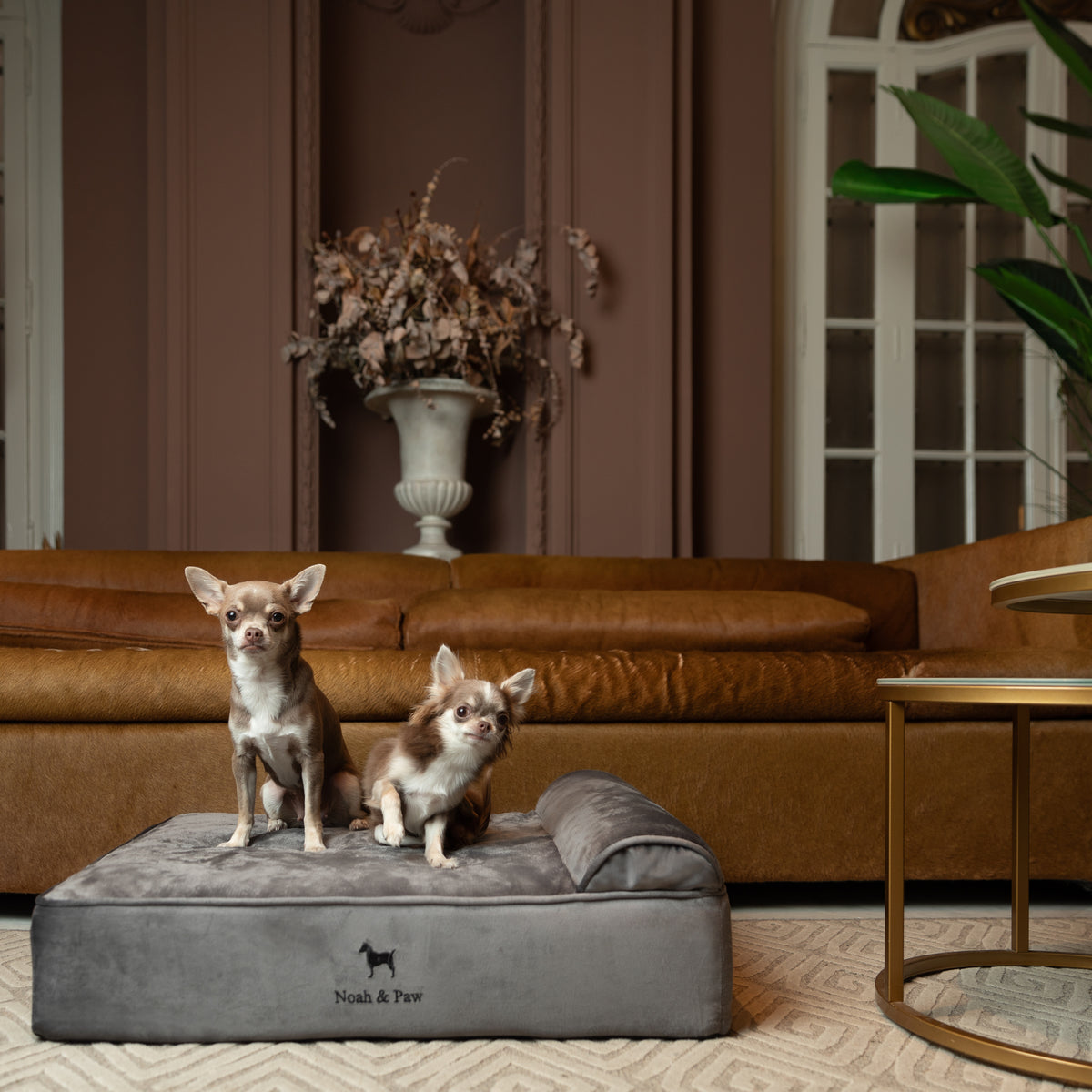 Velvet, Orthopedic Pet Bed, Classic Style - Grey - M