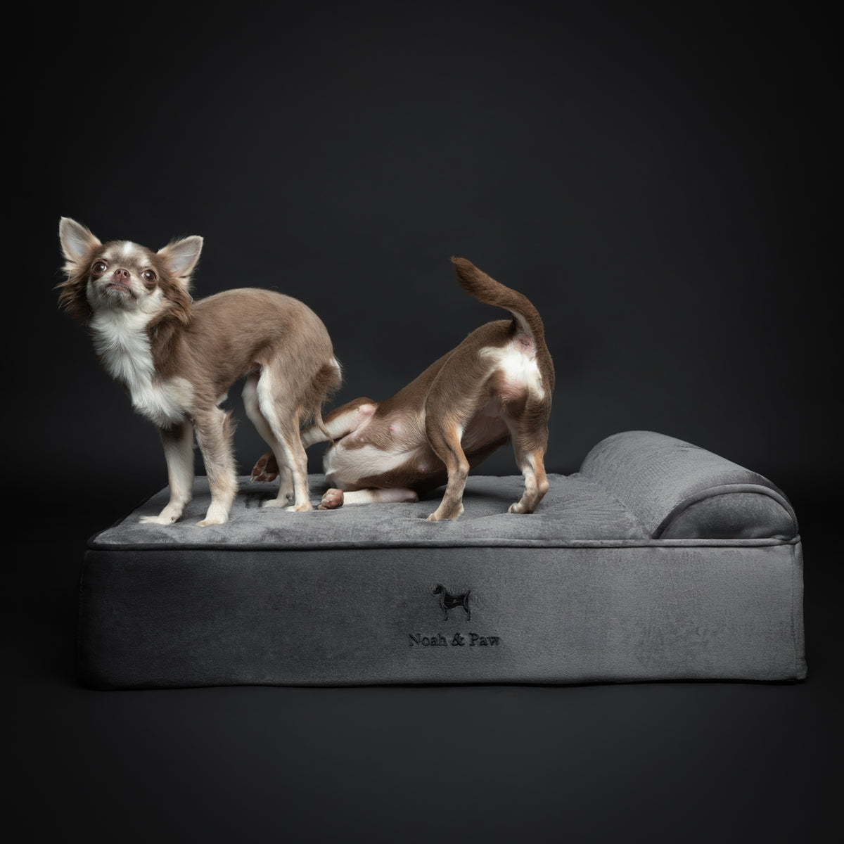 Velvet, Orthopedic Pet Bed, Classic Style - Grey - M