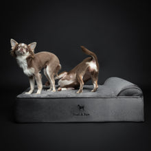 Noah & Paw orthopedic classic dog bed in velvet with memory foam and cooling gel, gray, size M (28 x 23 x 7.5 in)