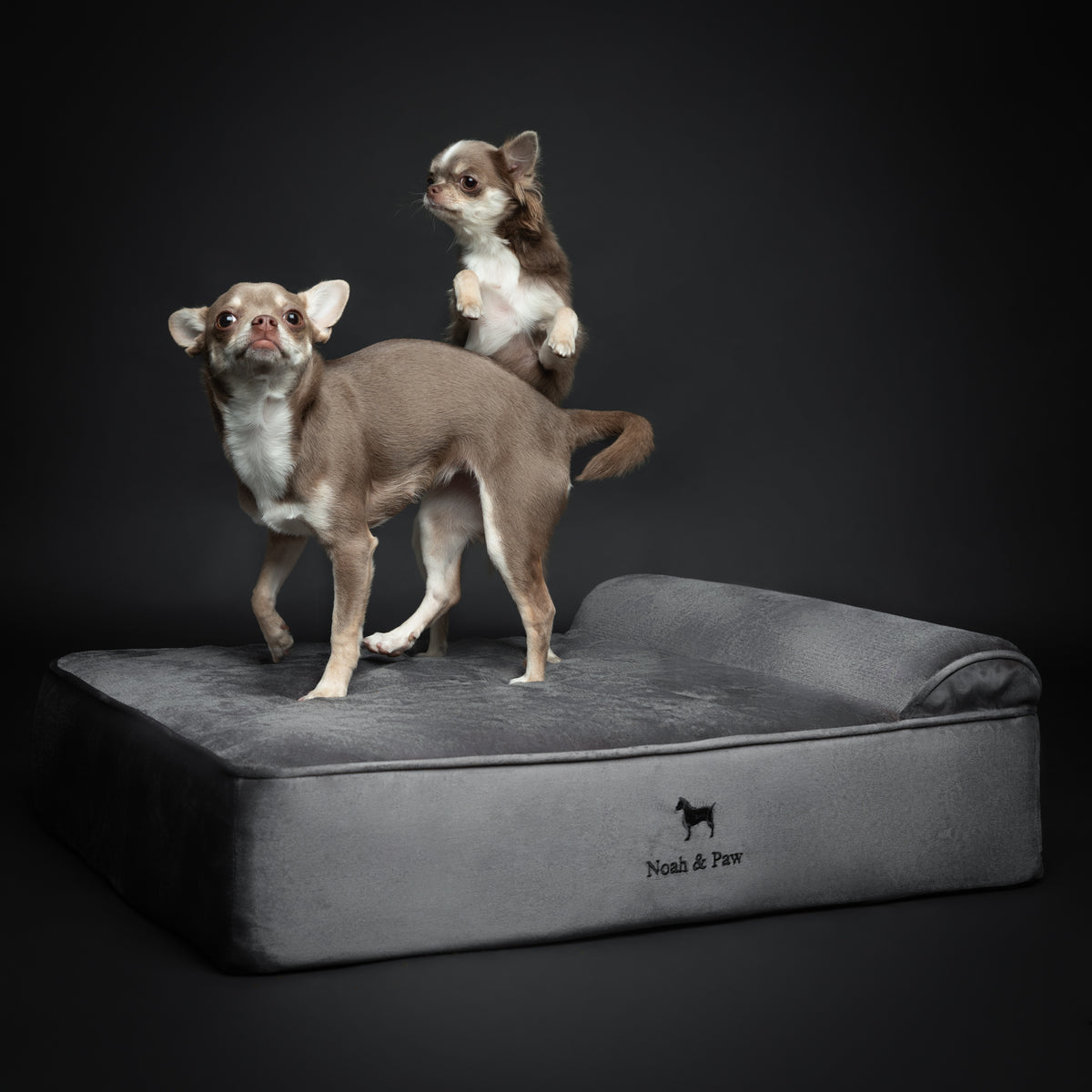 Velvet, Orthopedic Pet Bed, Classic Style - Grey - M