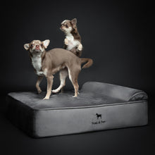 Noah & Paw orthopedic classic dog bed in velvet with memory foam and cooling gel, gray, size M (28 x 23 x 7.5 in)