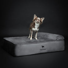 Noah & Paw orthopedic classic dog bed in velvet with memory foam and cooling gel, gray, size M (28 x 23 x 7.5 in)