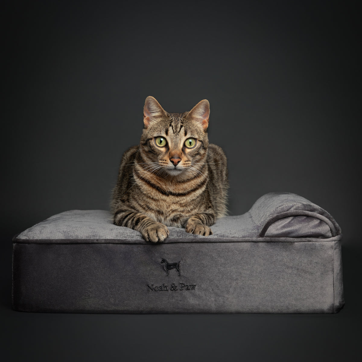 Velvet, Orthopedic Pet Bed, Classic Style - Grey - S