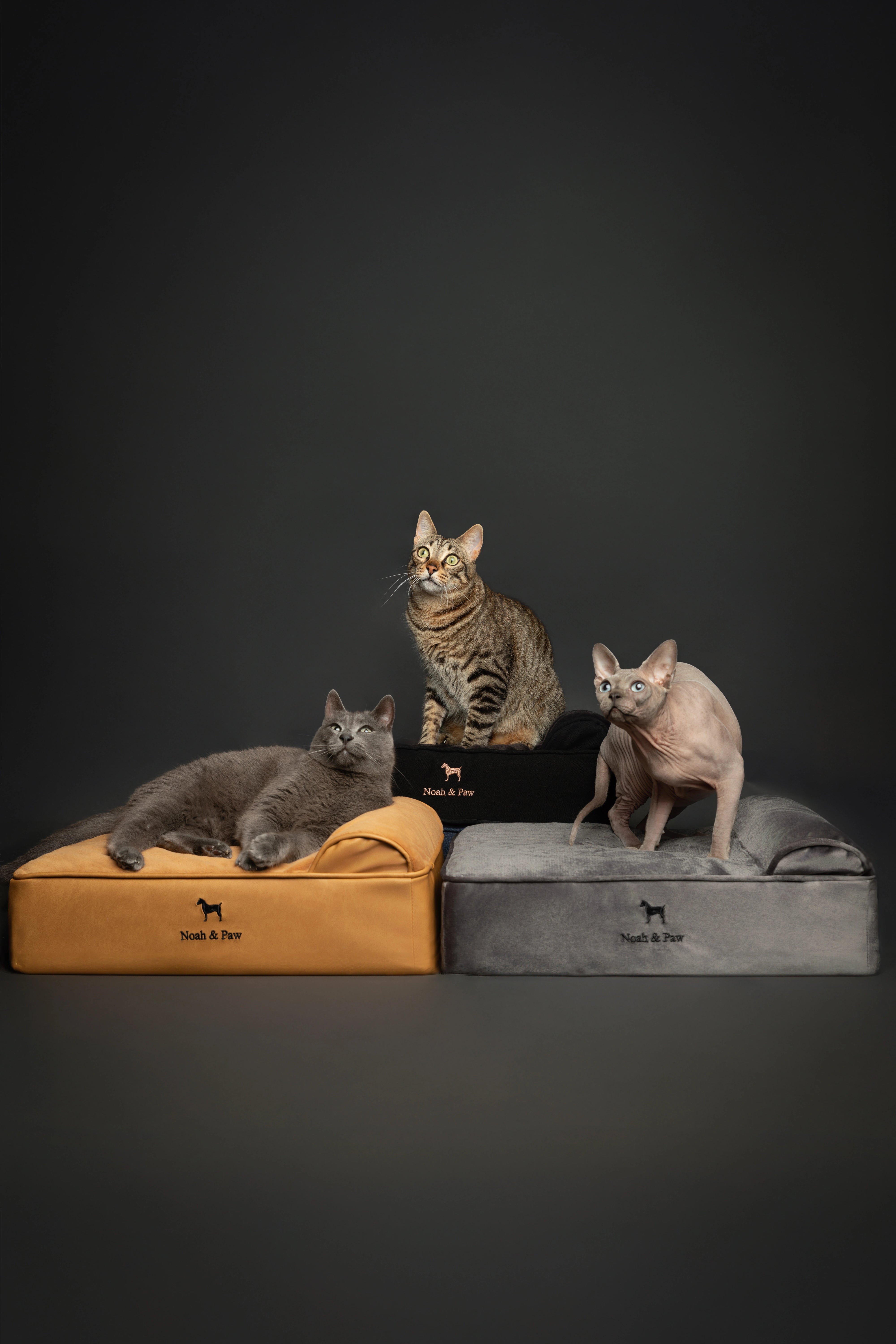 Velvet, Orthopedic Pet Bed, Classic Style - Grey - S