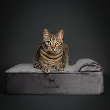 Velvet Orthopedic Pet Bed, Memory Foam, Infused with Cooling Gel - Classic