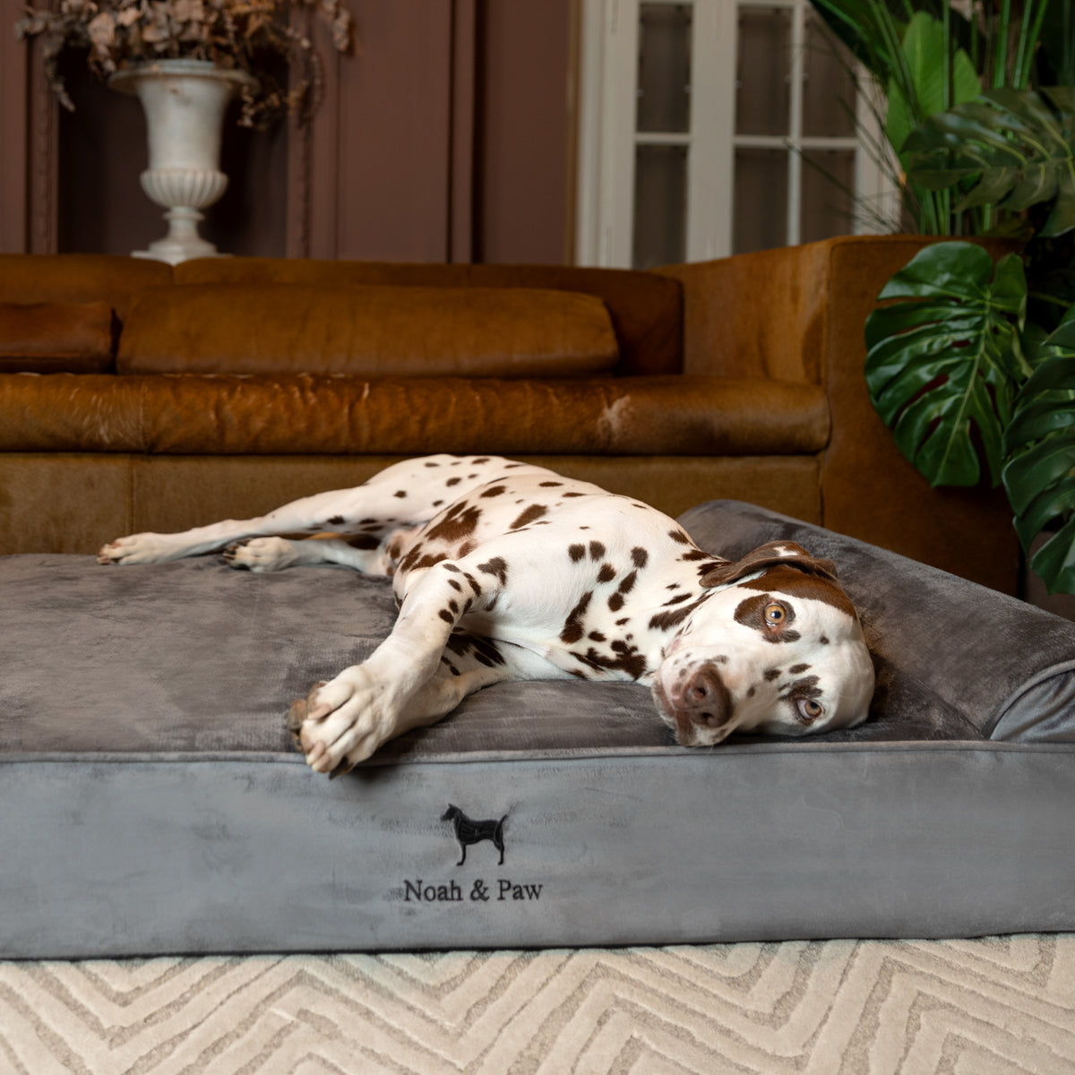 Velvet, Orthopedic Pet Bed, Classic Style - Grey - XL