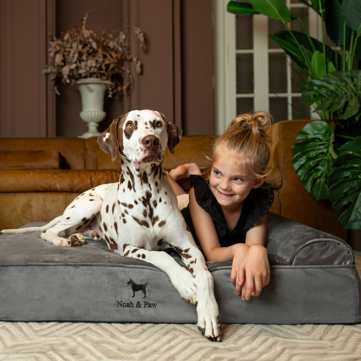 Velvet, Orthopedic Pet Bed, Classic Style - Grey - XL