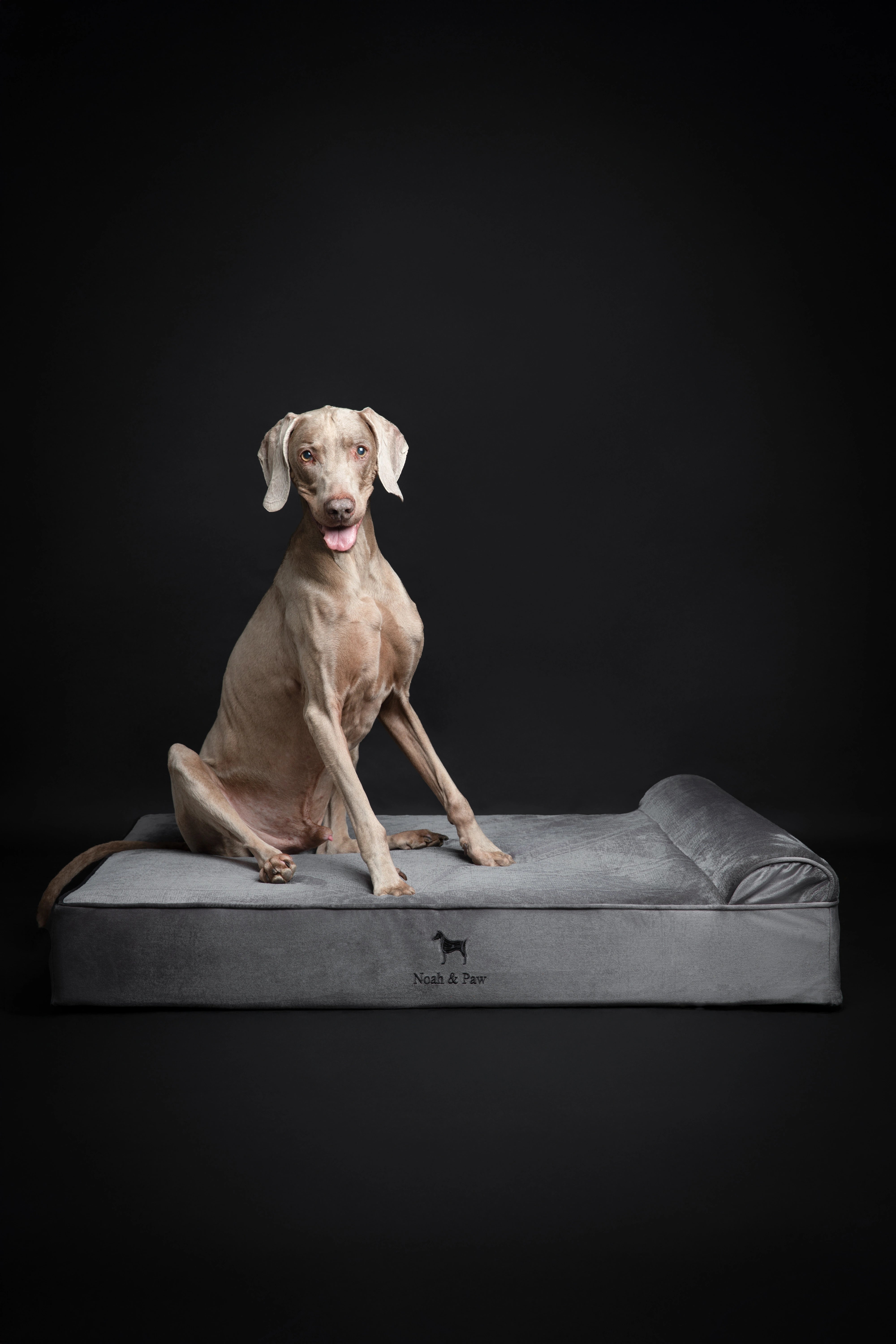 Velvet, Orthopedic Pet Bed, Classic Style - Grey - XL