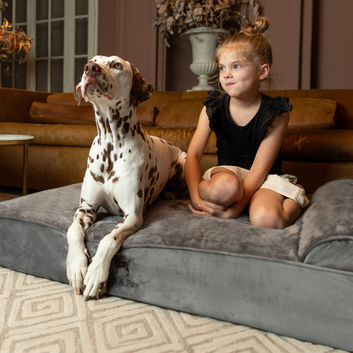 Velvet, Orthopedic Pet Bed, Classic Style - Grey - XL