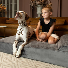 Noah & Paw orthopedic classic dog bed in velvet with memory foam and cooling gel, gray, size XL (45 x 35 x 9 in)