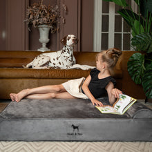 Noah & Paw orthopedic classic dog bed in velvet with memory foam and cooling gel, gray, size XL (45 x 35 x 9 in)