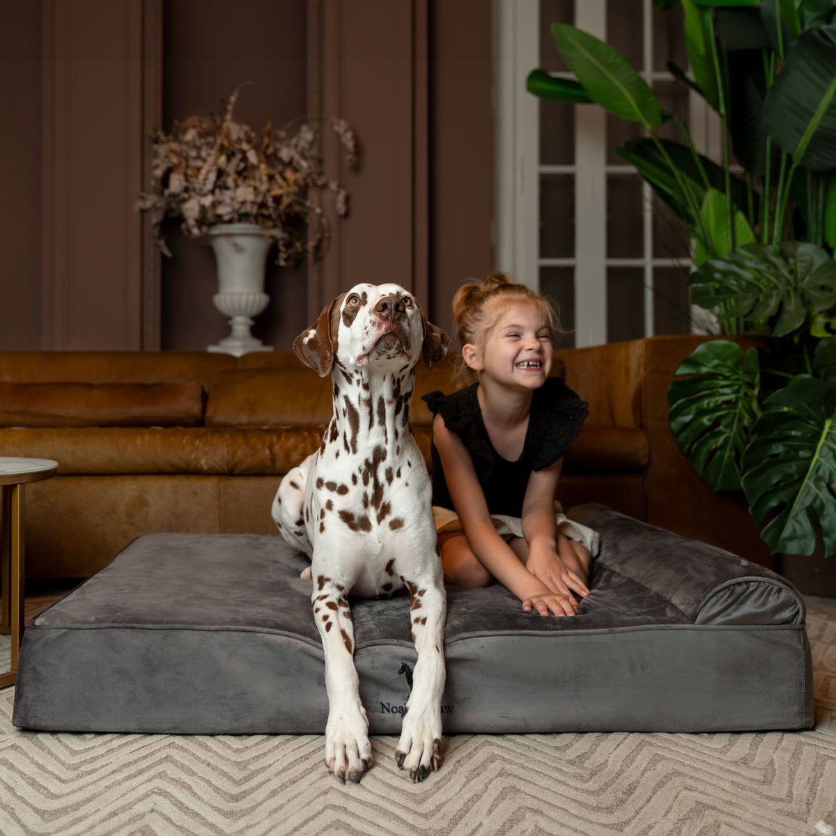 Velvet, Orthopedic Pet Bed, Classic Style - Grey - XL
