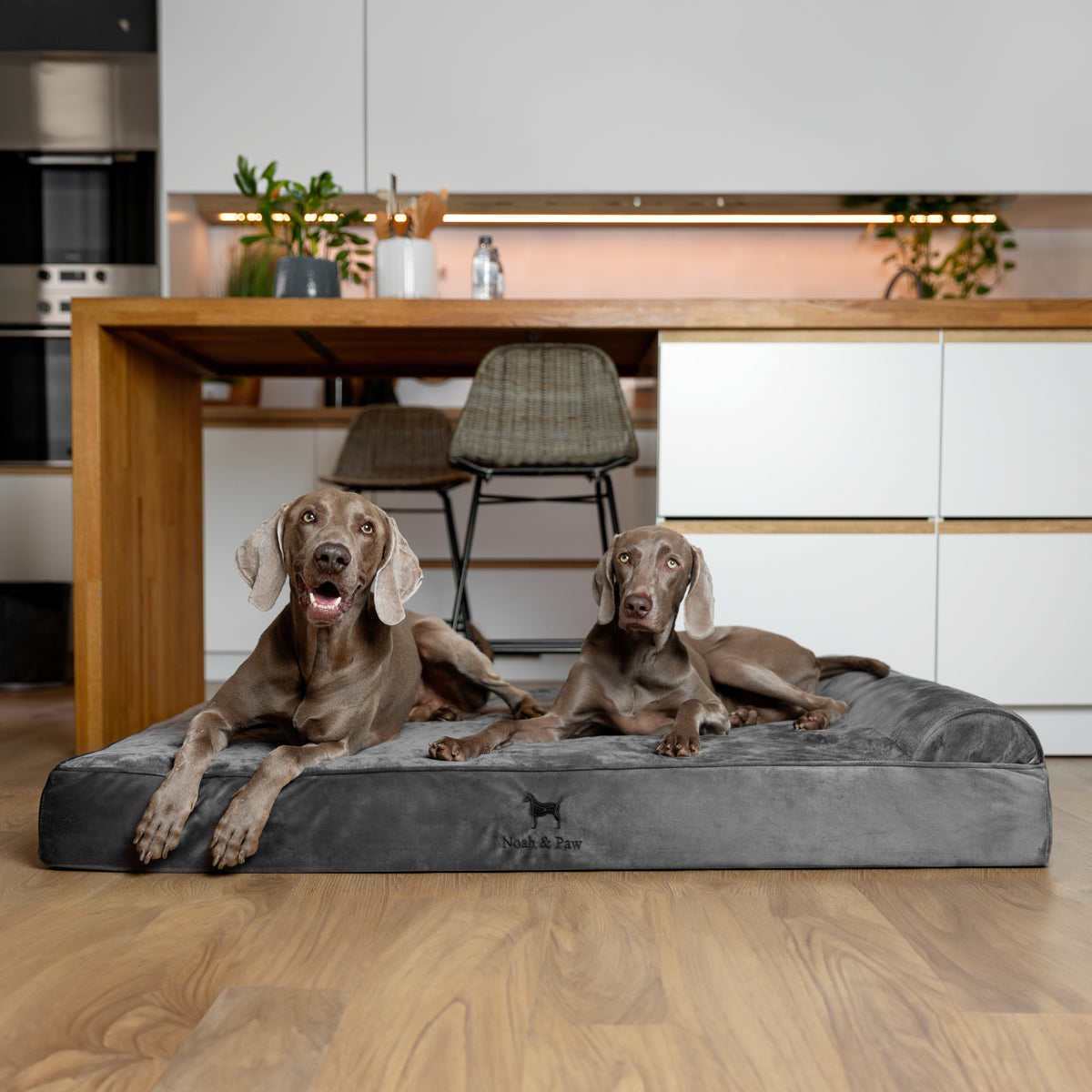 Velvet, Orthopedic Pet Bed, Classic Style - Grey - XL