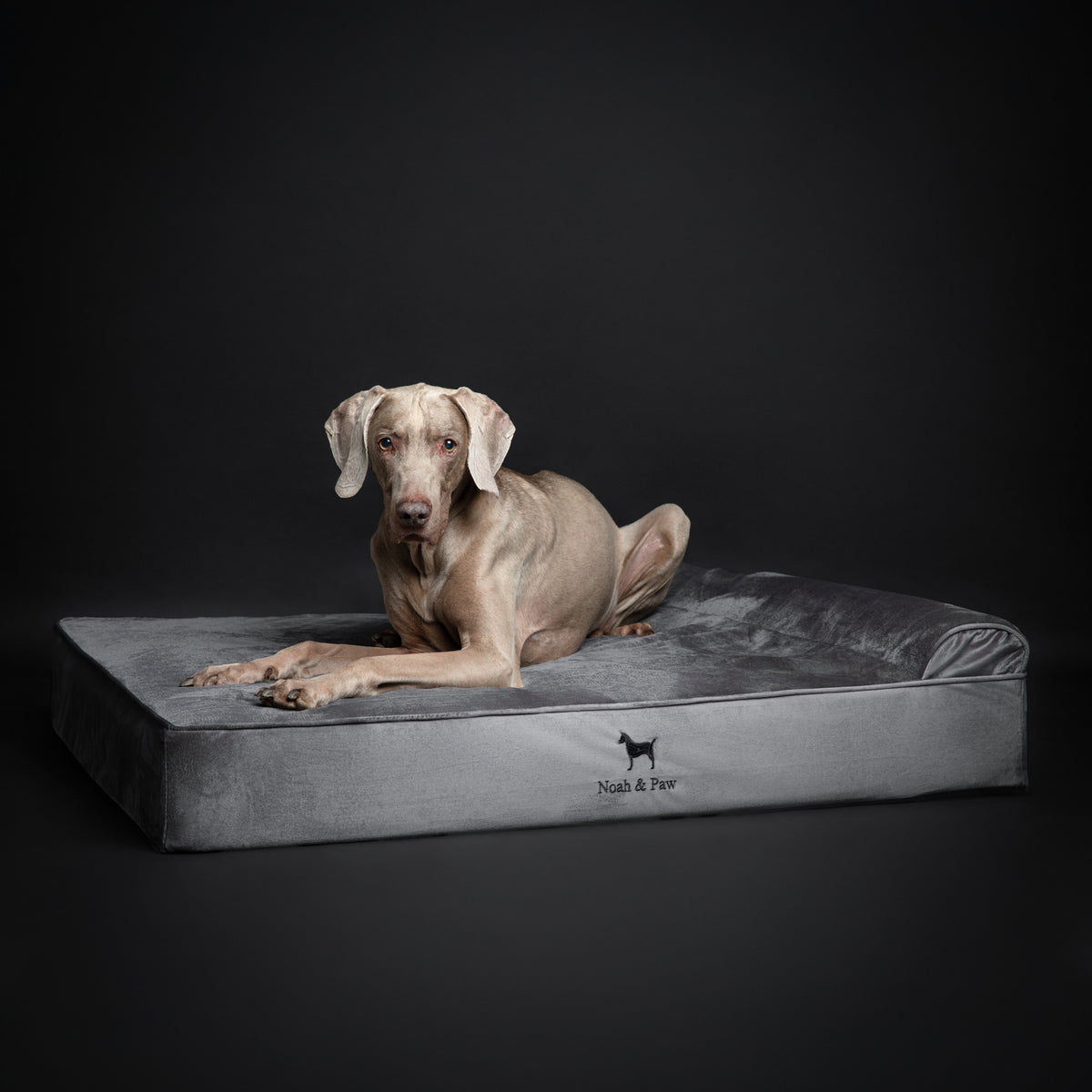 Velvet, Orthopedic Pet Bed, Classic Style - Grey - XL