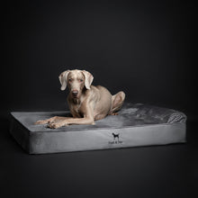 Velvet Orthopedic Pet Bed, Memory Foam, Infused with Cooling Gel - Classic