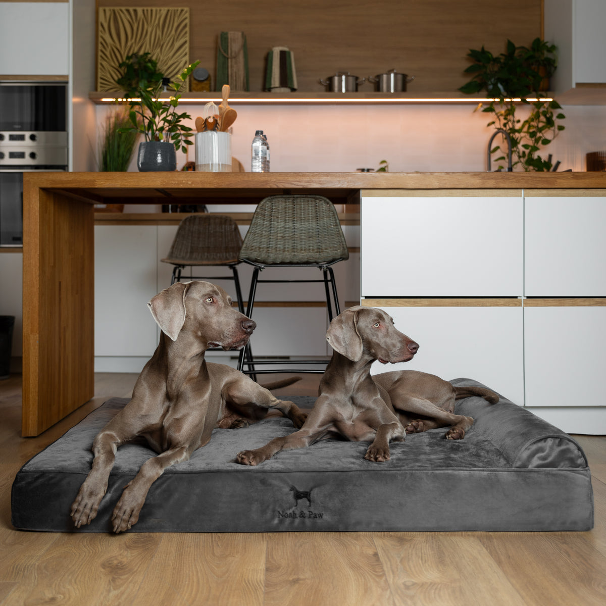 Noah & Paw orthopedic classic dog bed in velvet with memory foam and cooling gel, gray, size XXL (55 x 45 x 9.5 in)