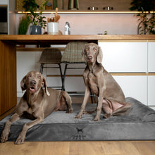 Noah & Paw orthopedic classic dog bed in velvet with memory foam and cooling gel, gray, size XXL (55 x 45 x 9.5 in)