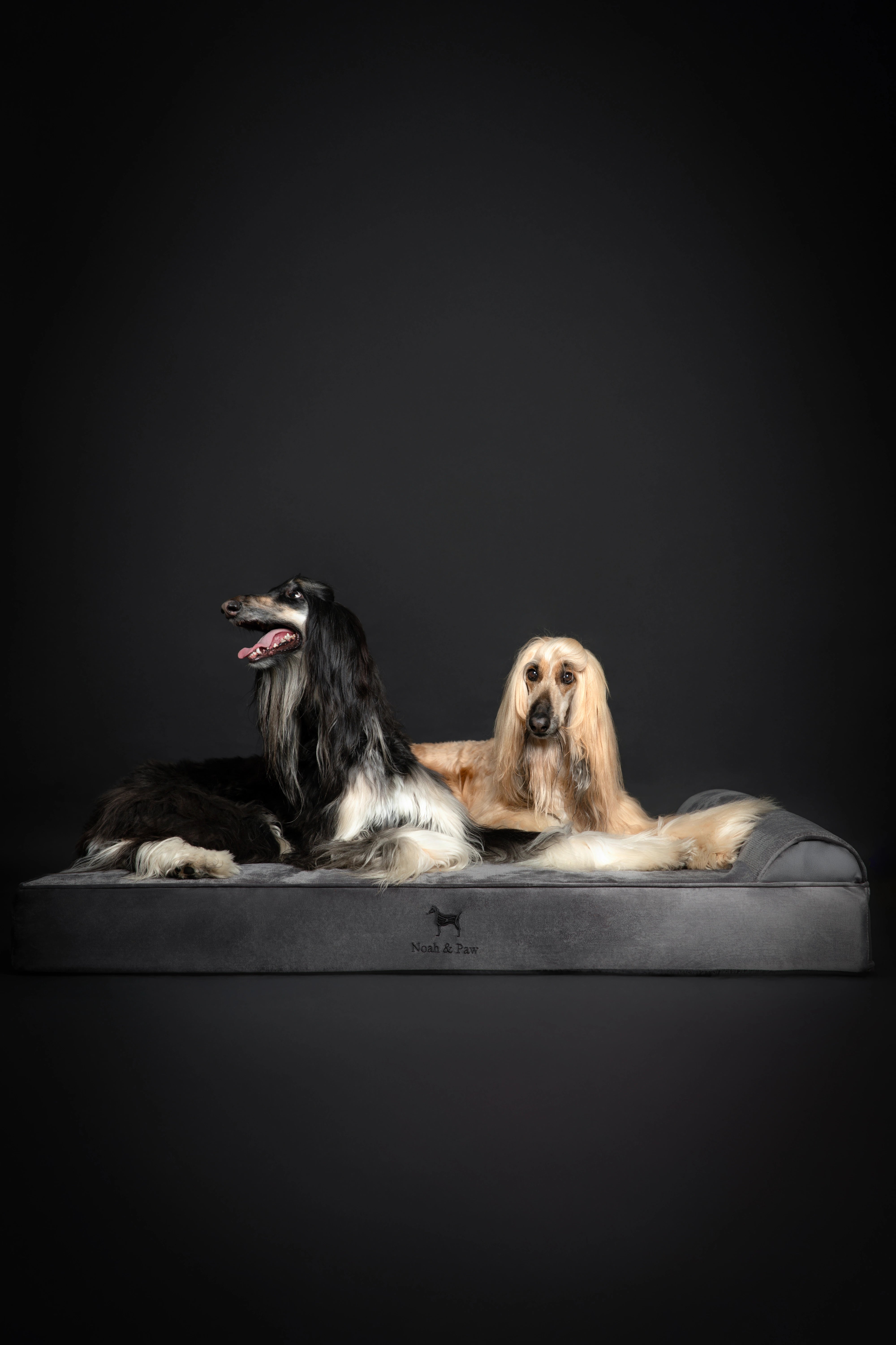 Velvet, Orthopedic Pet Bed, Classic Style - Grey - XXL