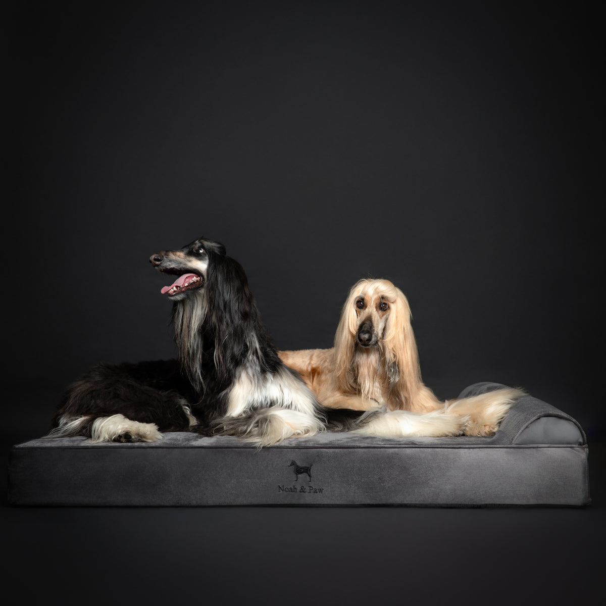 Noah & Paw orthopedic classic dog bed in velvet with memory foam and cooling gel, gray, size XXL (55 x 45 x 9.5 in)