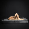 Velvet Orthopedic Pet Bed, Memory Foam, Infused with Cooling Gel - Classic