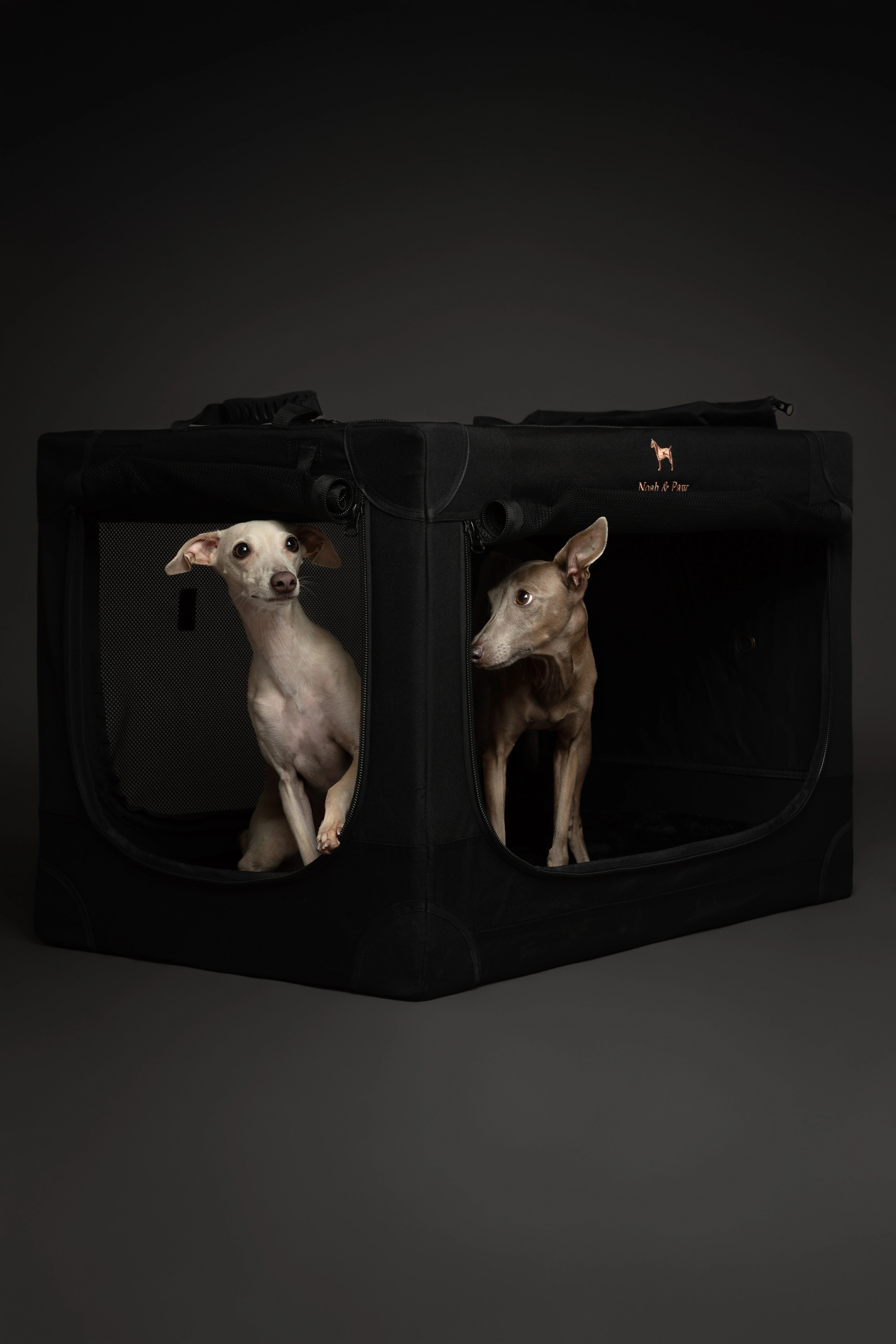 Collapsible dog crate travel | Foldable pet crate comfort - Black - L