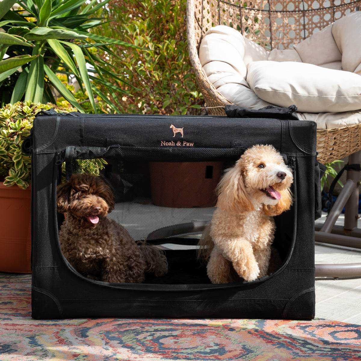 Collapsible dog crate travel | Foldable pet crate comfort - Black - L