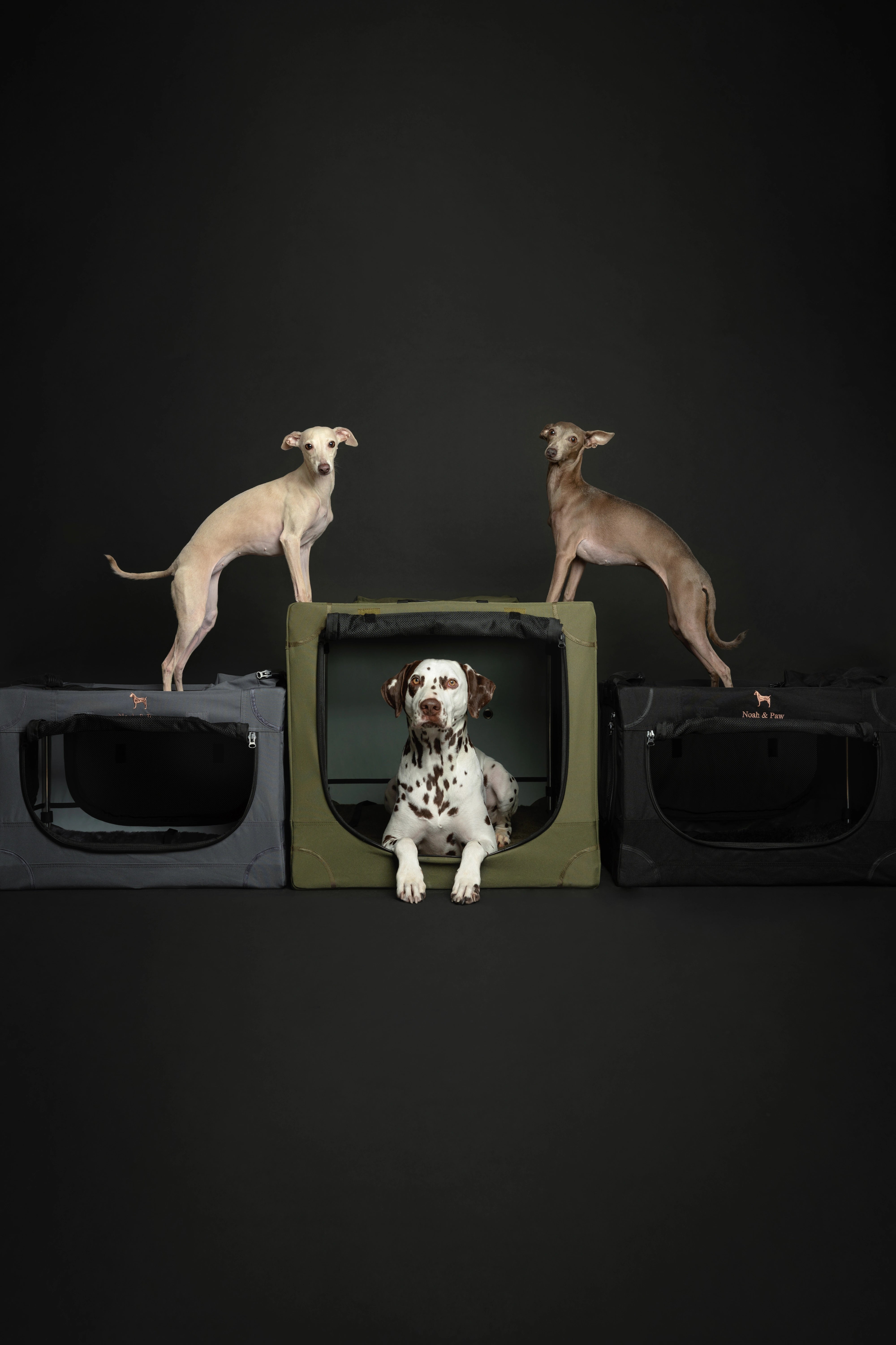 Collapsible dog crate travel | Foldable pet crate comfort - Black - L