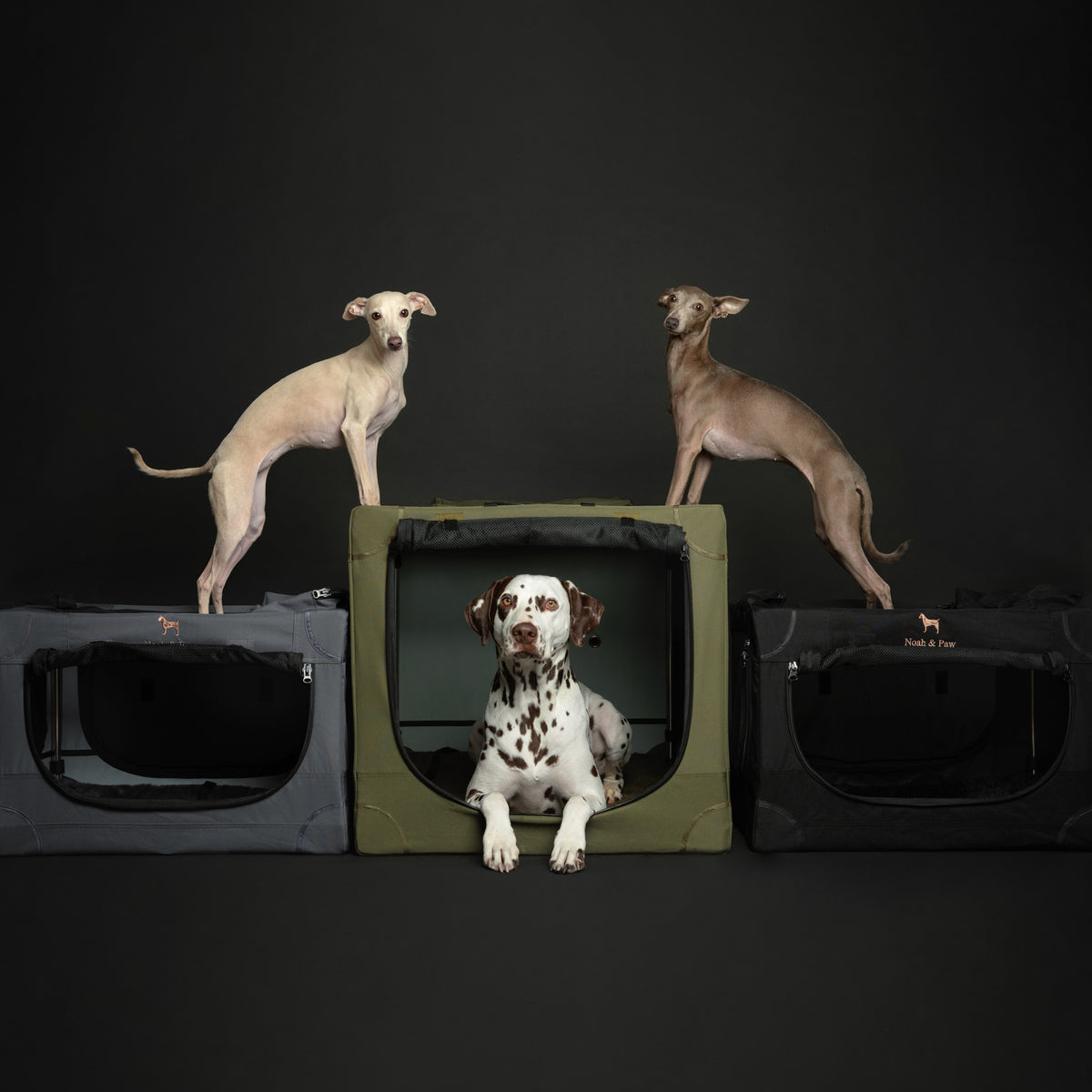 Collapsible dog crate travel | Foldable pet crate comfort - Black - L
