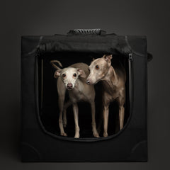 Collapsible Dog Crate Including Pet Mat Ideal for Traveling (Patented Folding)